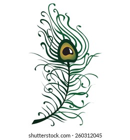 Peacock feather vector illustration