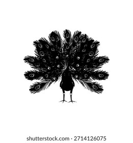 Vector de plumas de pavo real, Ilustración vectorial de pavo real