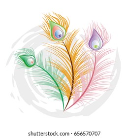 Peacock feather, vector illustration