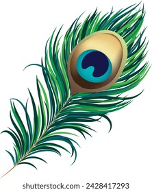 Peacock feather vector illustration for decoration, janmashtami, feather logo