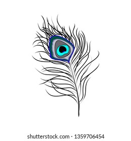 Peacock feather vector isolated exotic birds feather