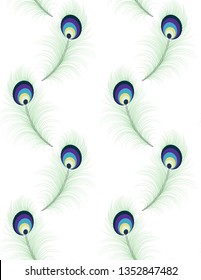 peacock feather vector on white background