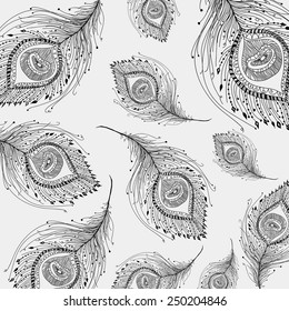 Peacock feather in white background. Vector illustration.