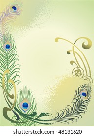  peacock feathers