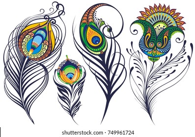 Peacock feathers