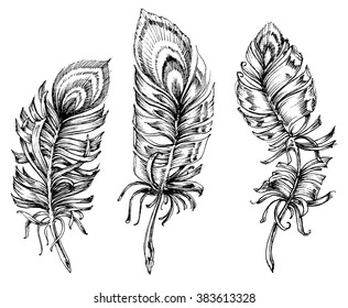 Peacock feathers artistic drawing