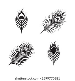 peacock feathers, black and white illustration
