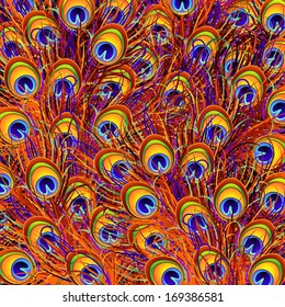Peacock Feathers Colorful Pattern
