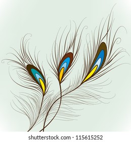 Peacock Feathers  Elements for design, EPS10 Vector background