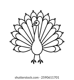 peacock with feathers fanned out line art