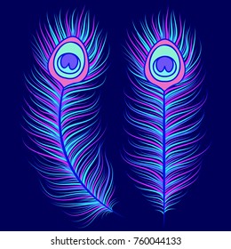 Peacock feathers on dark blue background  for your design