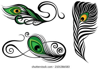 El pavo real se nutre de un fondo blanco. Ilustración vectorial