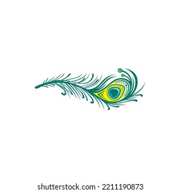 Peacock feathers on a white background. Vector Illustration. Peacock Feather Logo