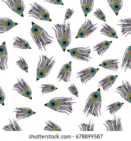 Peacock feathers on white background