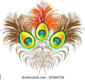 Peacock feathers on white background.Vector illustration of colorful peacock plume.