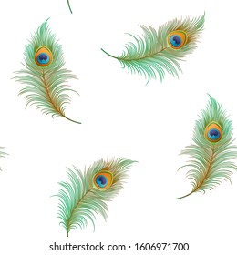 Peacock feathers Seamless pattern, background. Colored vector illustration isolated on white background