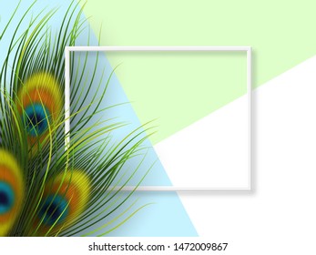 Peacock feathers template. Minimal exotic background with frame and copy space. Vector illustration.