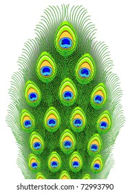 Peacock feathers. Vector illustration.