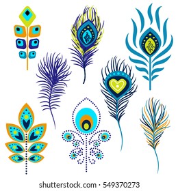 Peacock feathers vector illustration clipart. Blue and green peafowl bird hackles.