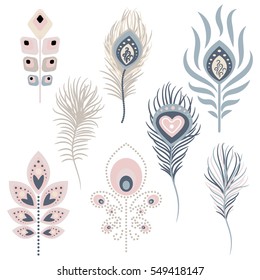 Peacock feathers vector illustration clipart. Pale pink and blue peafowl bird exotic hackles.