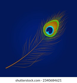 peacock feathers vector illustration design with flat design style