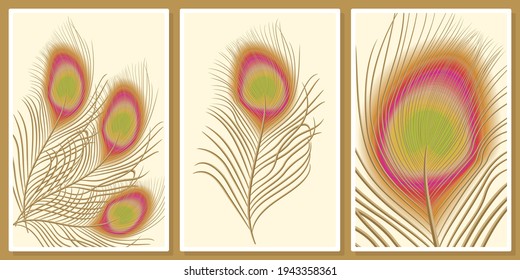 peacock feathers wall art vector set,  for wall art, poster, wallpaper, print