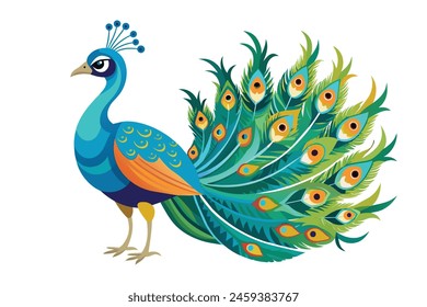 Peacock flat vector illustration on white background.