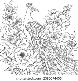 Peacock with flowers, colouring book page design, vector outline.