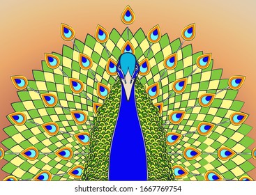 Peacock with flowing tail colorful cartoon drawing, graphic print. Beautiful blue green bird with big open tail with peacock bright feathers, isolated on orange sunset background. Vector illustration