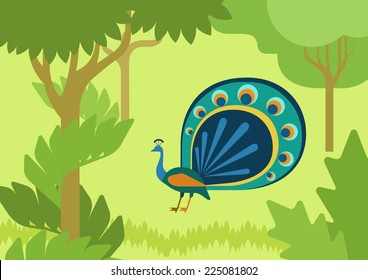 Peacock with flowing tail in forest habitat flat design cartoon vector wild animals birds. Flat zoo nature children collection.