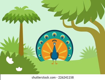 Peacock with flowing tail in forest habitat flat design cartoon vector wild animals birds. Flat zoo nature children collection.