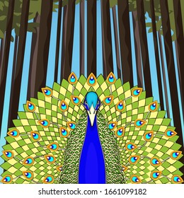 Pavo real con cola flotante en el fondo de árboles y bosques, dibujo animado colorido, imagen estilizada. Hermoso pájaro verde azul con gran cola abierta con plumas brillantes. Ilustración del vector