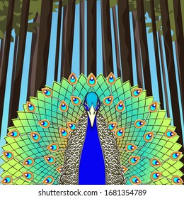 Peacock with flowing tail on the background of trees and forests, colorful cartoon drawing, stylized picture. Beautiful blue green bird with big open tail with bright feathers. Vector illustration
