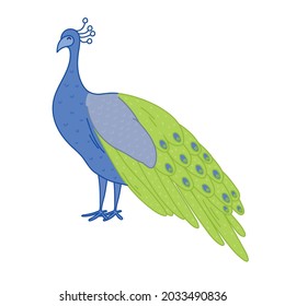Pavo real con plumas verdes y azules, dibujos de ilustraciones vectoriales.