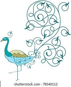 peacock Hand Drawn