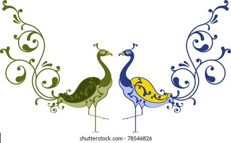 Peacock Hand Drawn