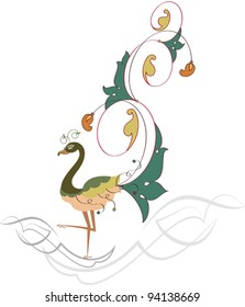 Peacock hand drawn
