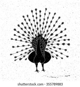 Peacock hand drawn in grunge style, can be used as a print on a t-shirt, textile, background, sign for the zoo and logo, tattoo, poster