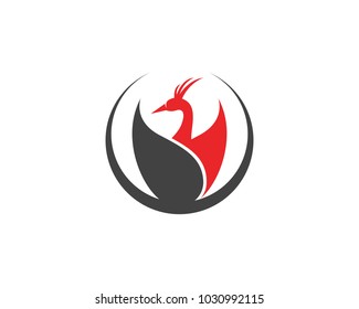 peacock head logo and symbols template icon app