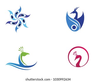 peacock head logo and symbols template icon app