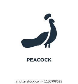 Peacock icon. Black filled vector illustration. Peacock symbol on white background. Can be used in web and mobile.