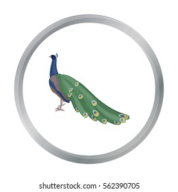 Peacock icon in cartoon style isolated on white background. Bird symbol stock vector illustration.