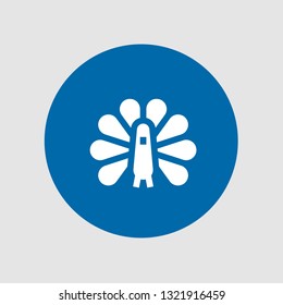  Peacock icon. Editable  Peacock icon for web or mobile.