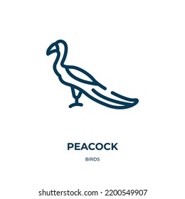 Peacock icon. Linear vector illustration from birds collection. Outline peacock icon vector. Thin line symbol for use on web and mobile apps, logo, print media.