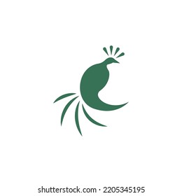 Peacock icon logo design illustration 