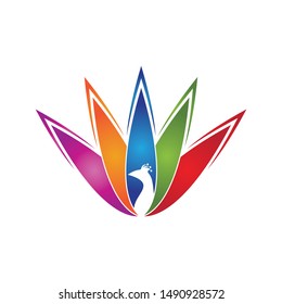 Peacock icon and symbol vector illustration
