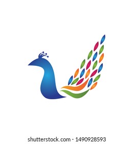 Peacock icon and symbol vector illustration