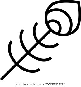 peacock icon. Thin linear style design isolated on white background