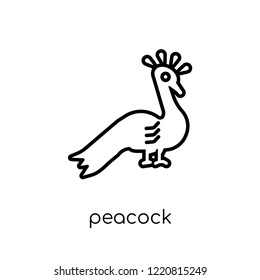 Peacock icon. Trendy modern flat linear vector Peacock icon on white background from thin line india collection, editable outline stroke vector illustration