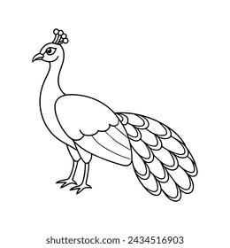 Página para colorear de ilustración de pavo real para niños